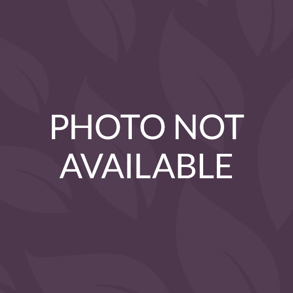 Meet the Staff Cove Behavioral Health